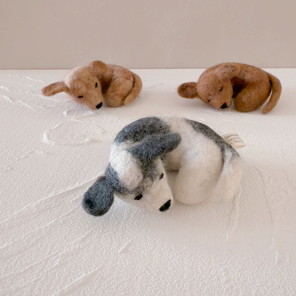 image_8691810D-7DE5-4CDB-AFCE-05FBC93BEE0F_1770652811