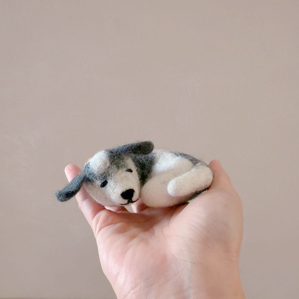 image_A137BB5C-5810-43A8-83E3-66D58E2E3A88_1770652811