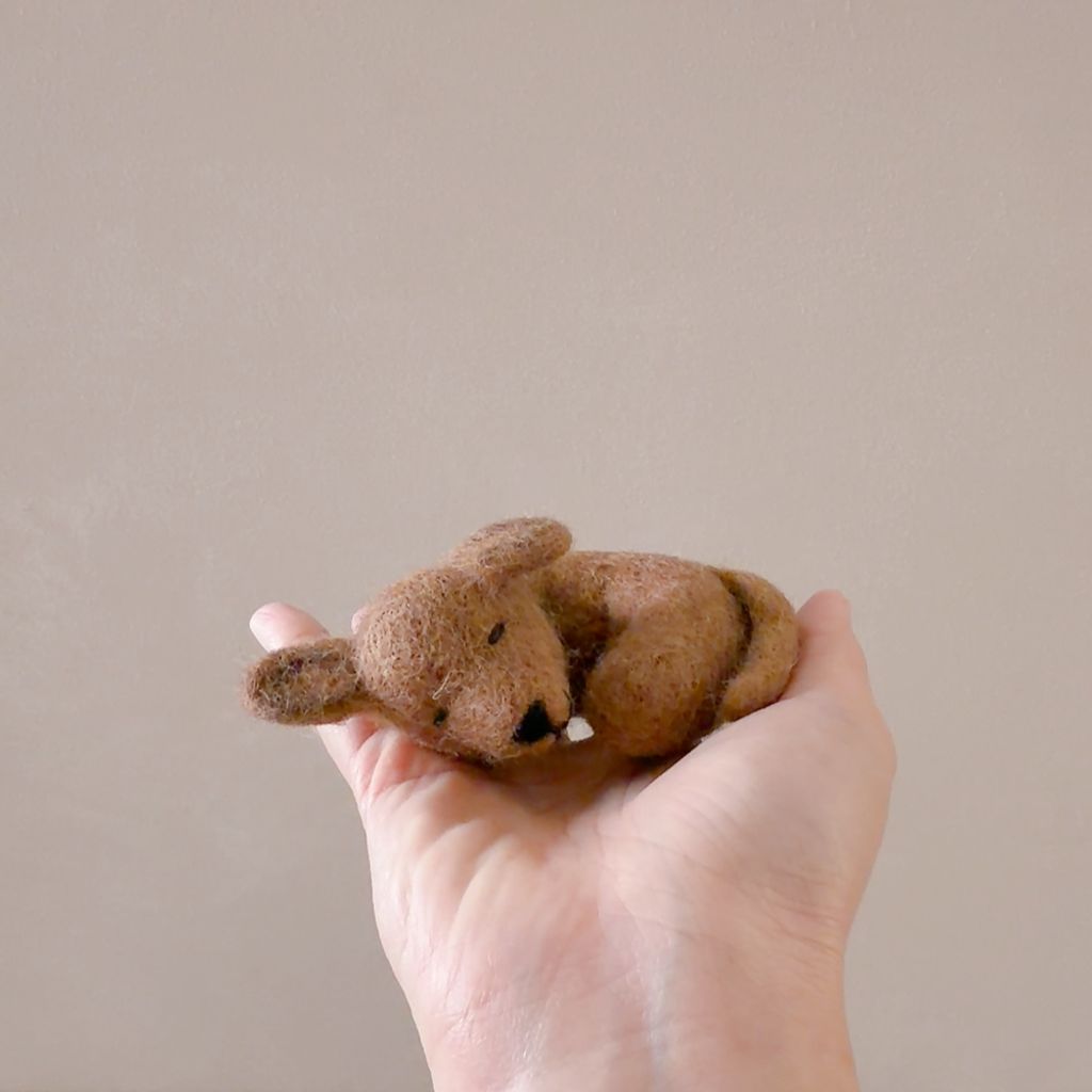 image_061C8AFF-6B05-4AE7-A095-4F45D4962D8E_1770652811