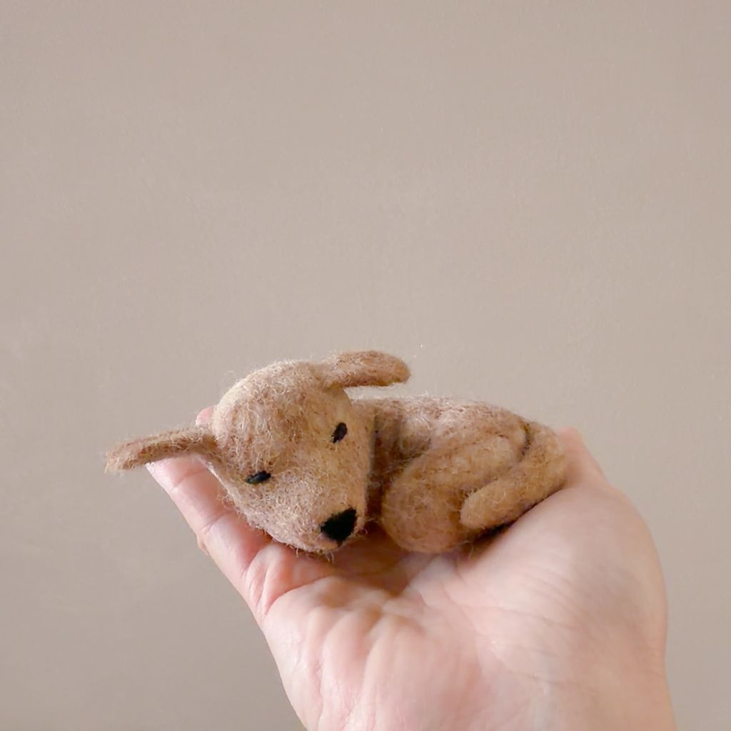 image_C79DAC7B-B05F-4CBD-9F26-C0C42010DC57_1770652811