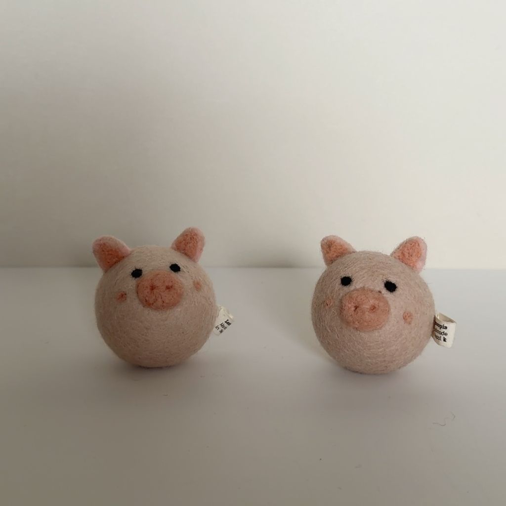 image_B905C744-635C-4473-AB7B-17FD10824981_1770654495