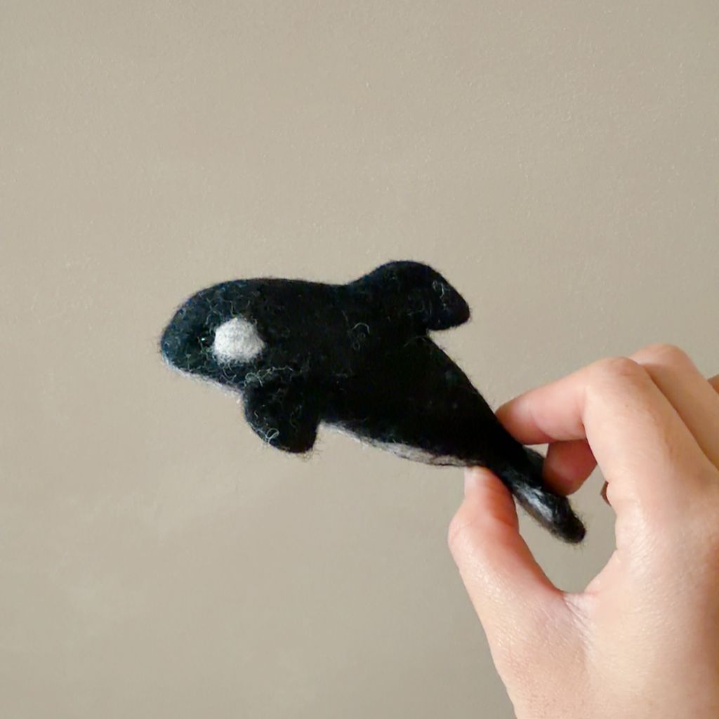 image_2564FD4F-D9C9-44A4-AE95-1D96ED359082_1770654630