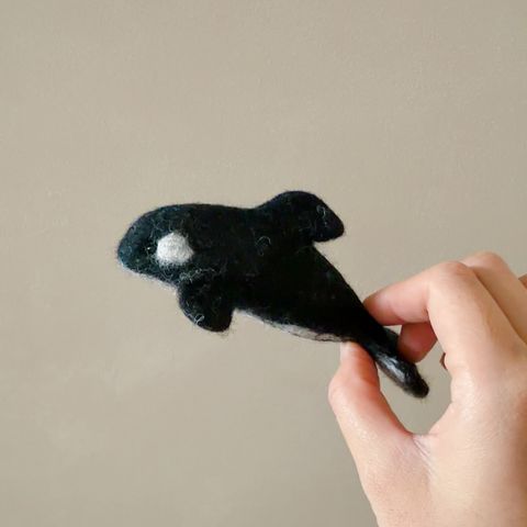 image_2564FD4F-D9C9-44A4-AE95-1D96ED359082_1770654630