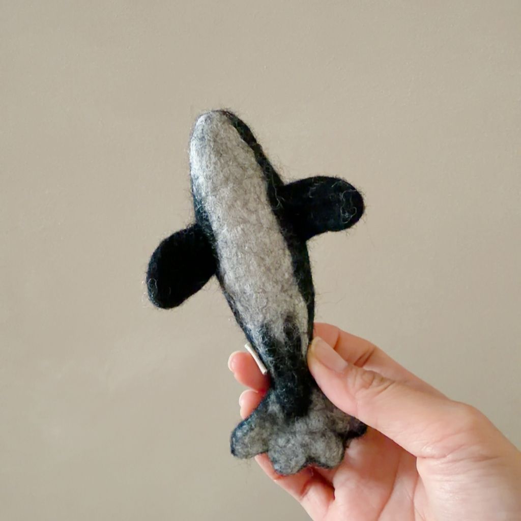 image_6F01DADA-3E79-48B2-B5F4-A555FAB4E49F_1770654630