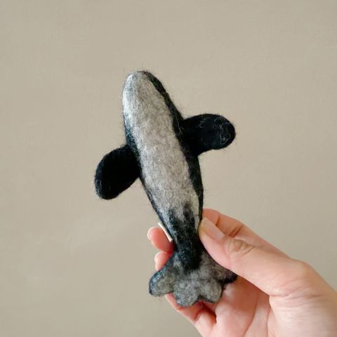 image_6F01DADA-3E79-48B2-B5F4-A555FAB4E49F_1770654630