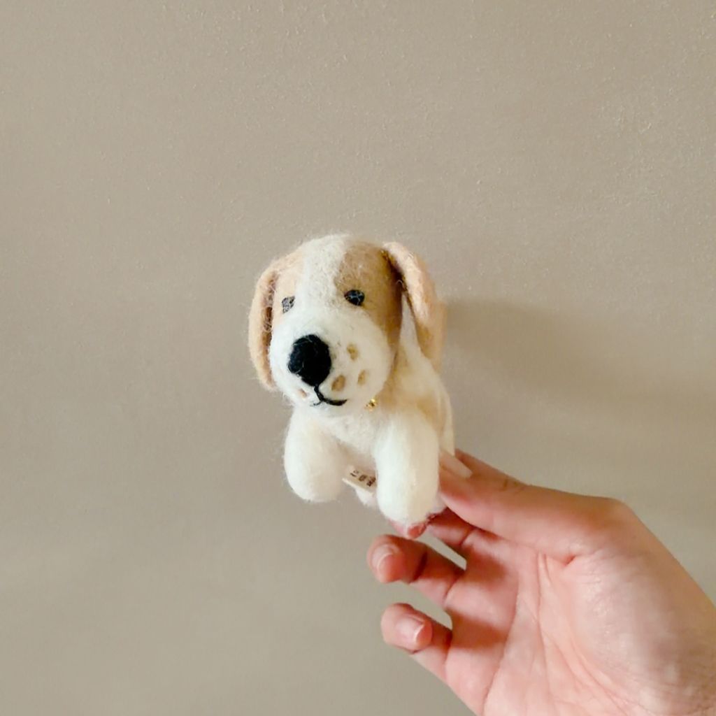 image_44B49107-B6D4-4727-8DA1-B9C053C36603_1770656069