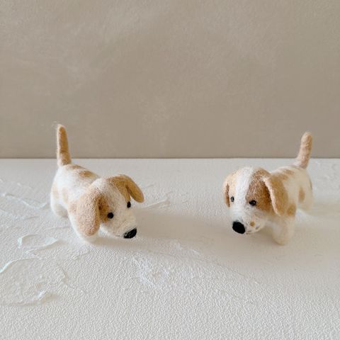 image_2097A0C4-660E-4CE5-81F5-39D8E1A1D2DA_1770656069