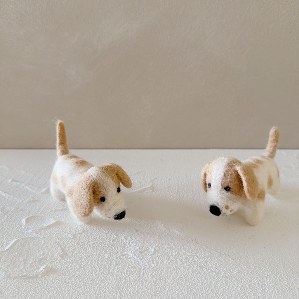 image_3A35F257-C705-4B06-BF62-9DE4D9F79D15_1770656069