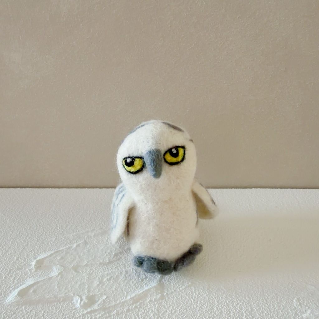 image_8C3126D3-8547-46D2-B2D3-DB04670CF0F4_1770656327