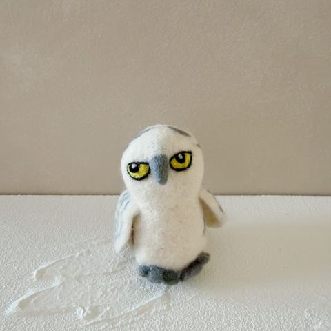 image_8C3126D3-8547-46D2-B2D3-DB04670CF0F4_1770656327