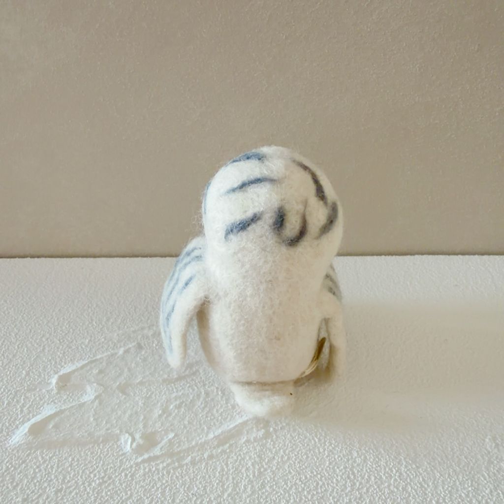 image_F58B8ED0-3DCE-4E40-BD95-DA915924B753_1770656327