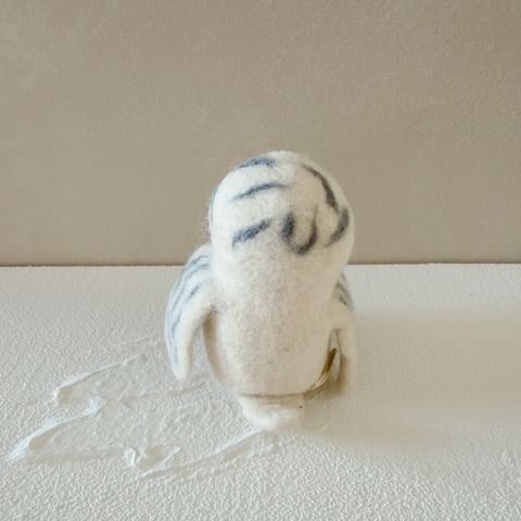 image_F58B8ED0-3DCE-4E40-BD95-DA915924B753_1770656327