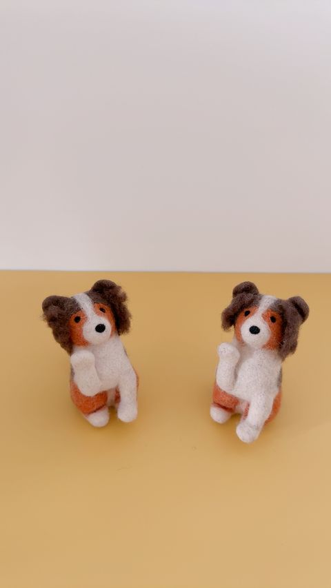 image_DBE0EE70-3838-4B55-8ABB-F63654CCAE07_1770657805