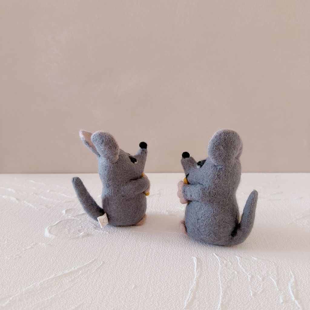 image_4F693B72-1211-418F-A39D-C2E6A9194101_1770658041