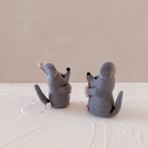 image_4F693B72-1211-418F-A39D-C2E6A9194101_1770658041