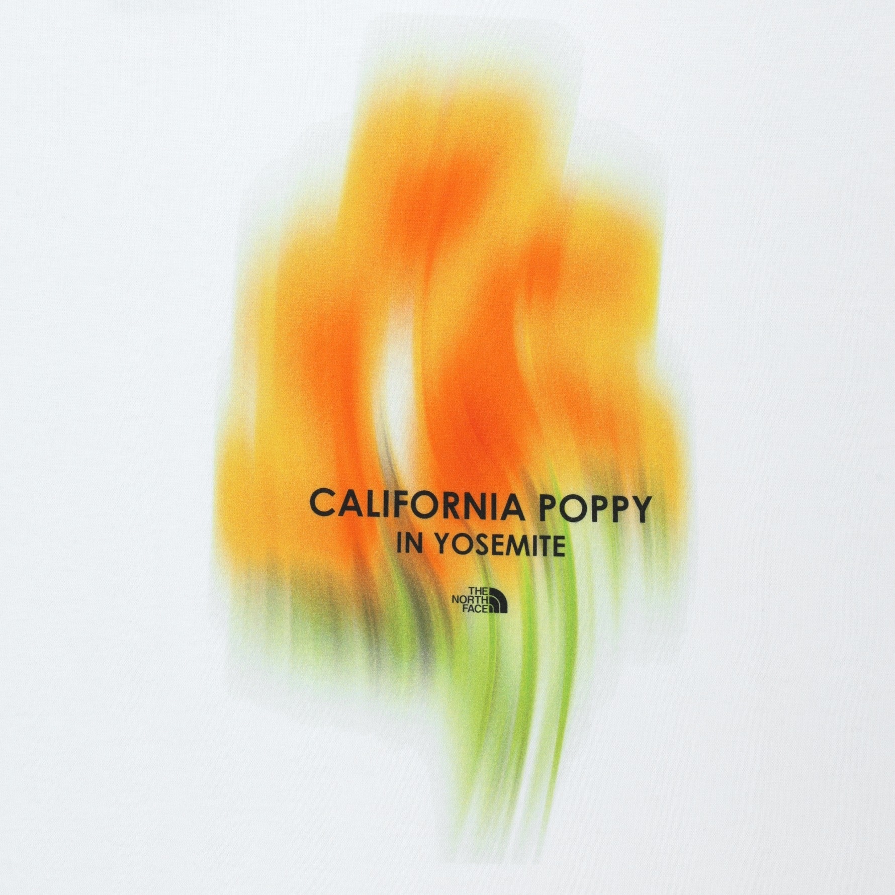 image_92334B4A-6DC8-4CF3-9C85-3AB973E205A0_1774428802