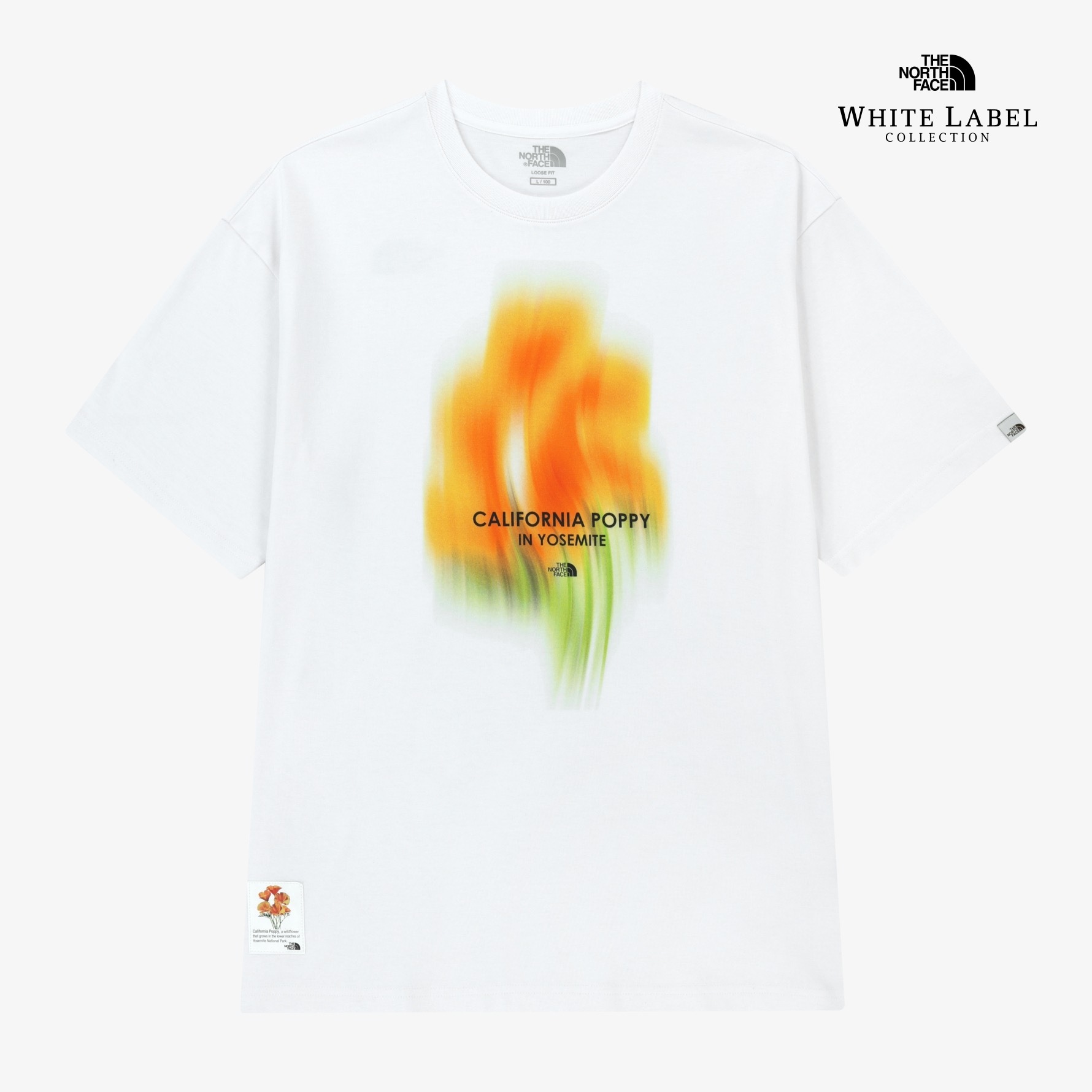 image_6FA0FB1C-27FC-4B2E-8950-9B917542C708_1774428802