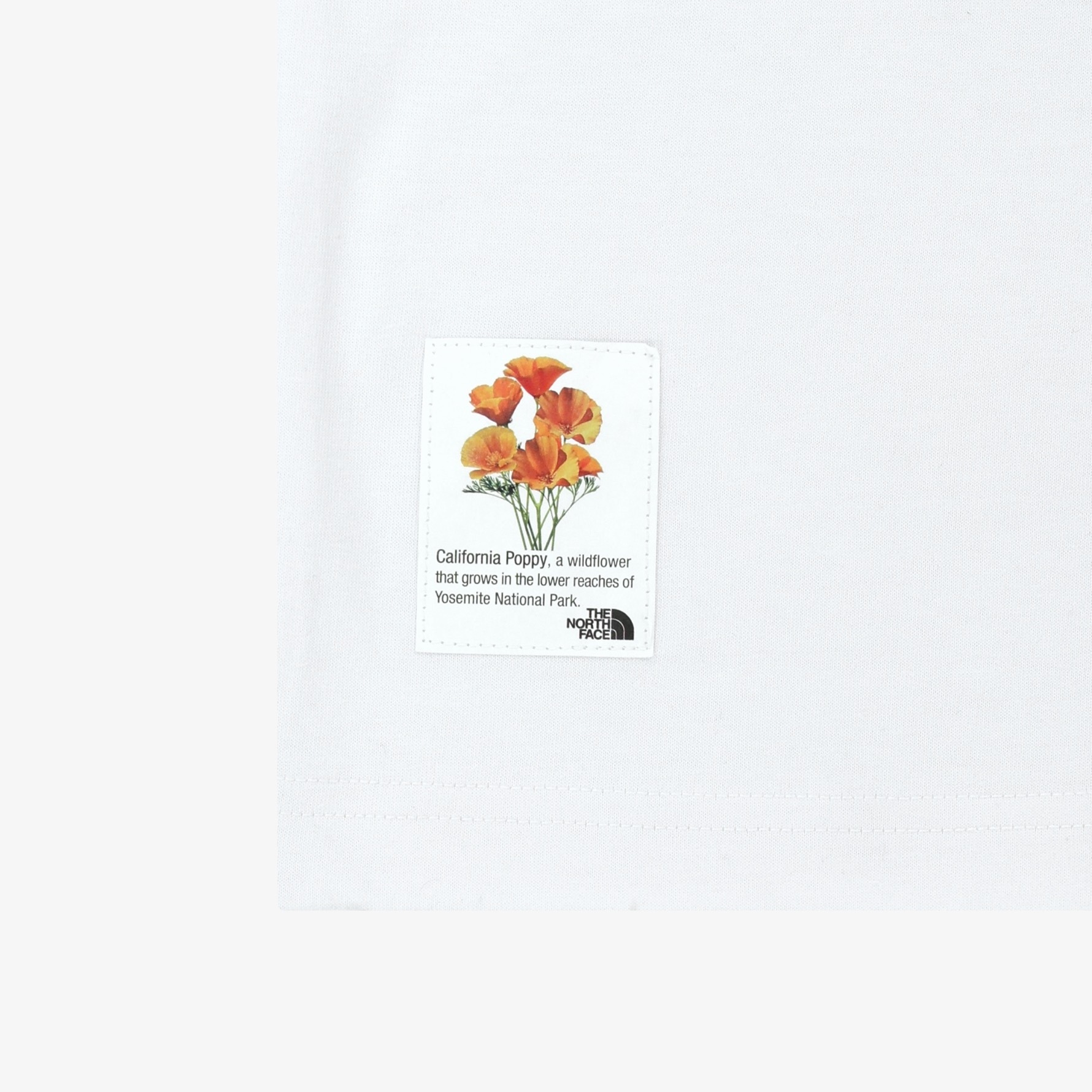 image_F170C5B3-2BB8-4999-B15F-0FC7638B1C0A_1774428802