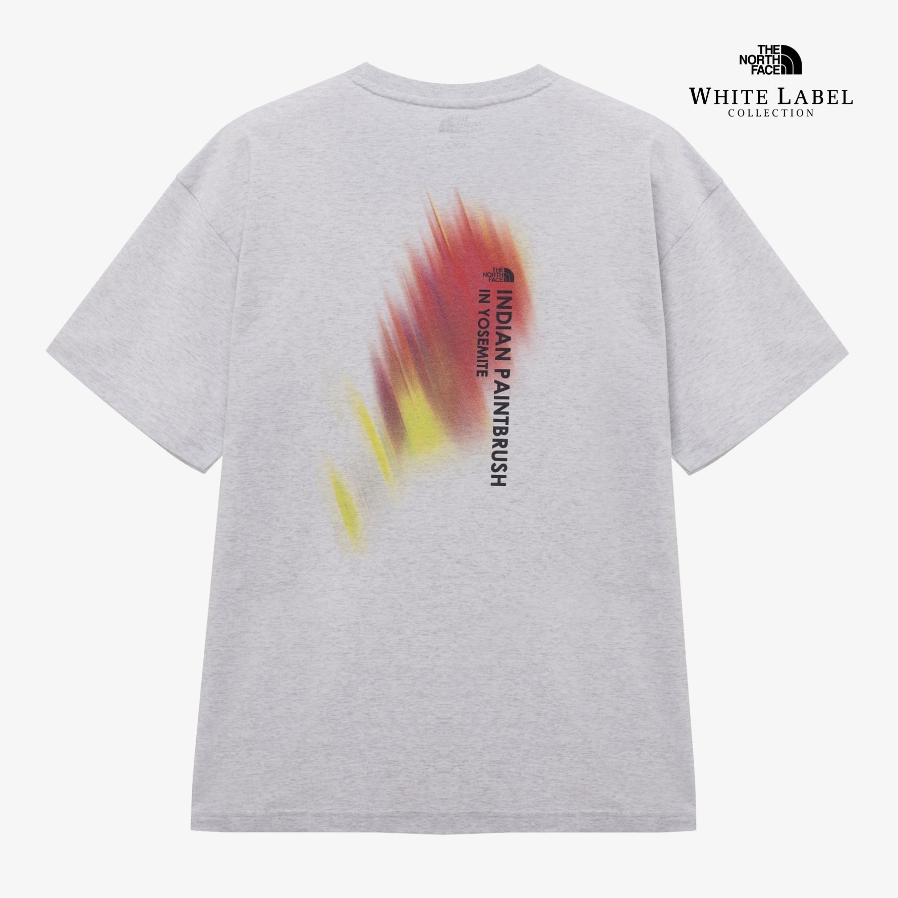 image_506C1ACE-6F81-487A-A1EA-FCC3171E3380_1774428802