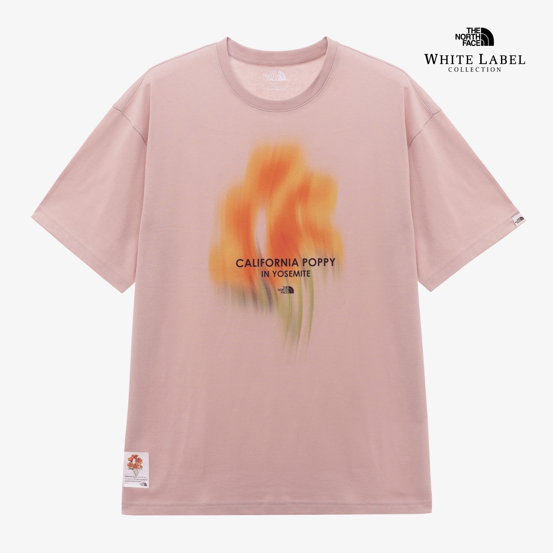 image_67B8ED81-DBF3-4F62-87AB-3F712FBA42A9_1774428802