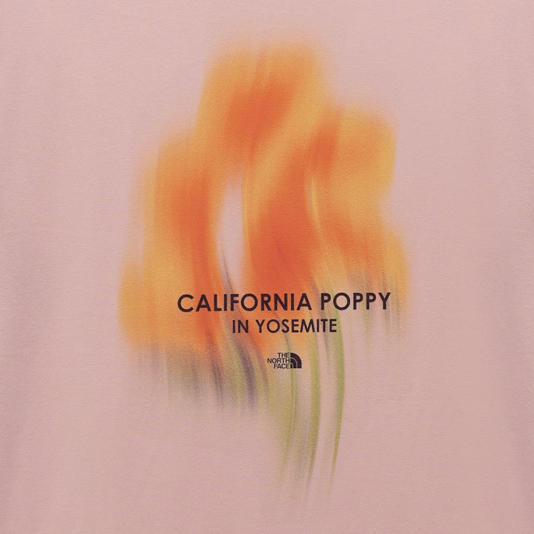 image_C69B8AC1-64FB-492C-A6ED-FB7B35EE8274_1774428802