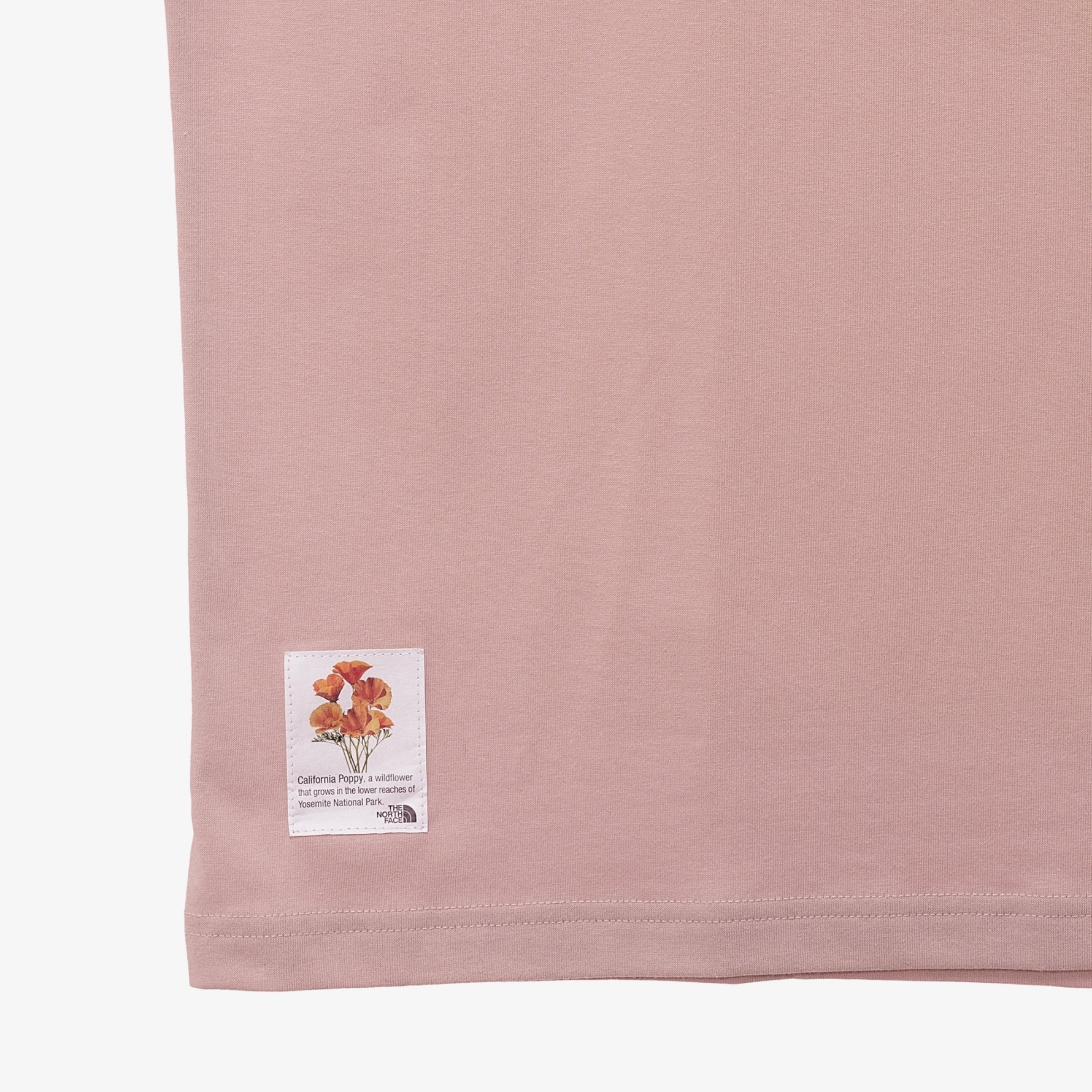 image_4B2FCB4D-2552-4FA3-B5C3-E62988144ABA_1774428802