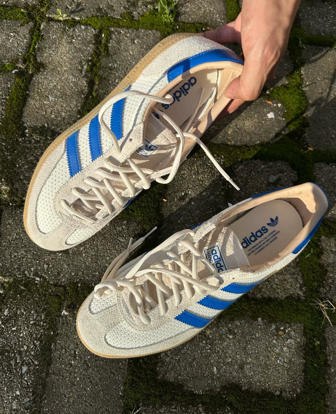 image_37F4B0C7-CB92-4068-9915-4CC4A20FE9EC_1756203882