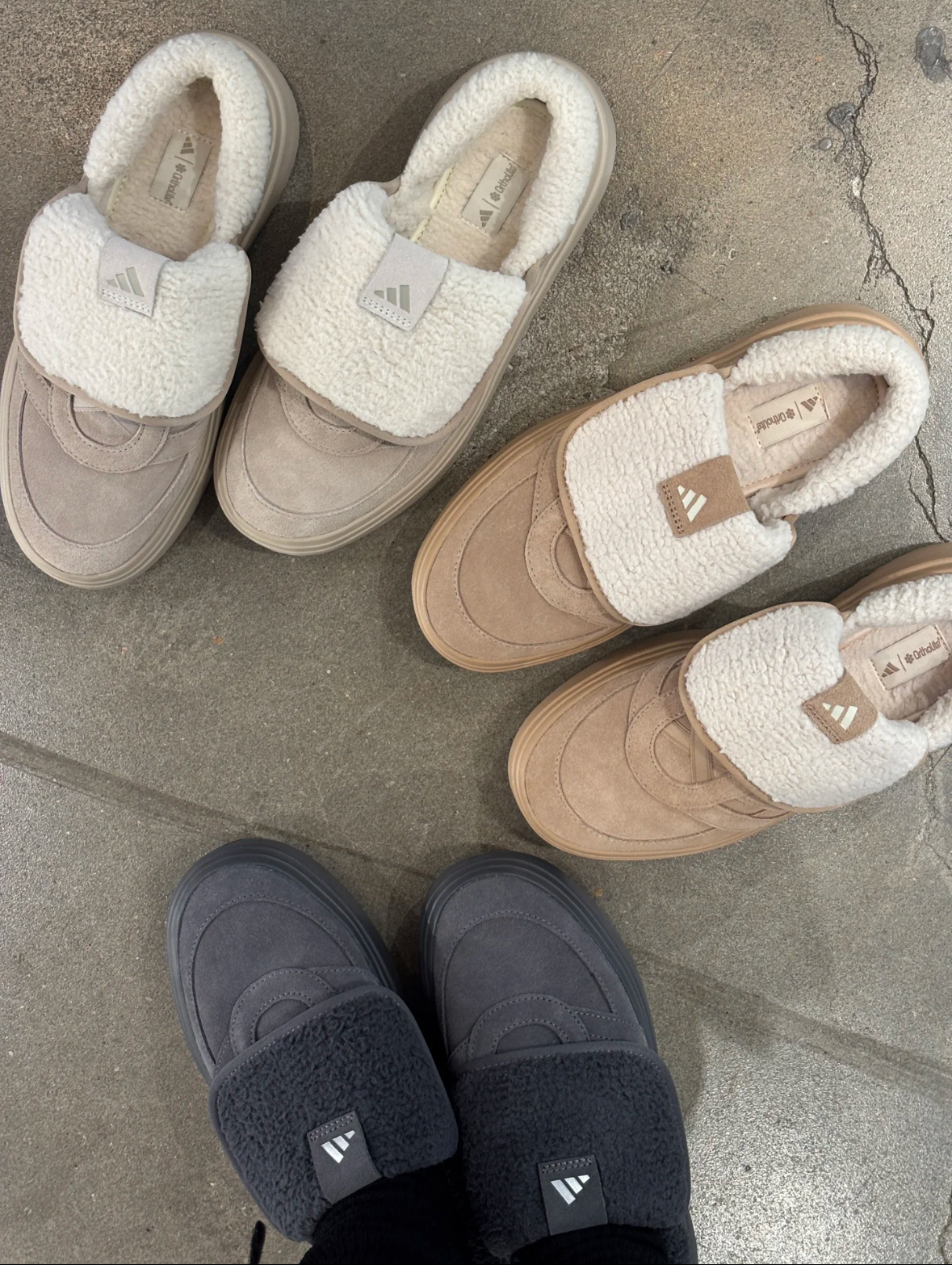 image_B8AC020A-3622-438E-A3BD-EC093D858C7C_1759845522