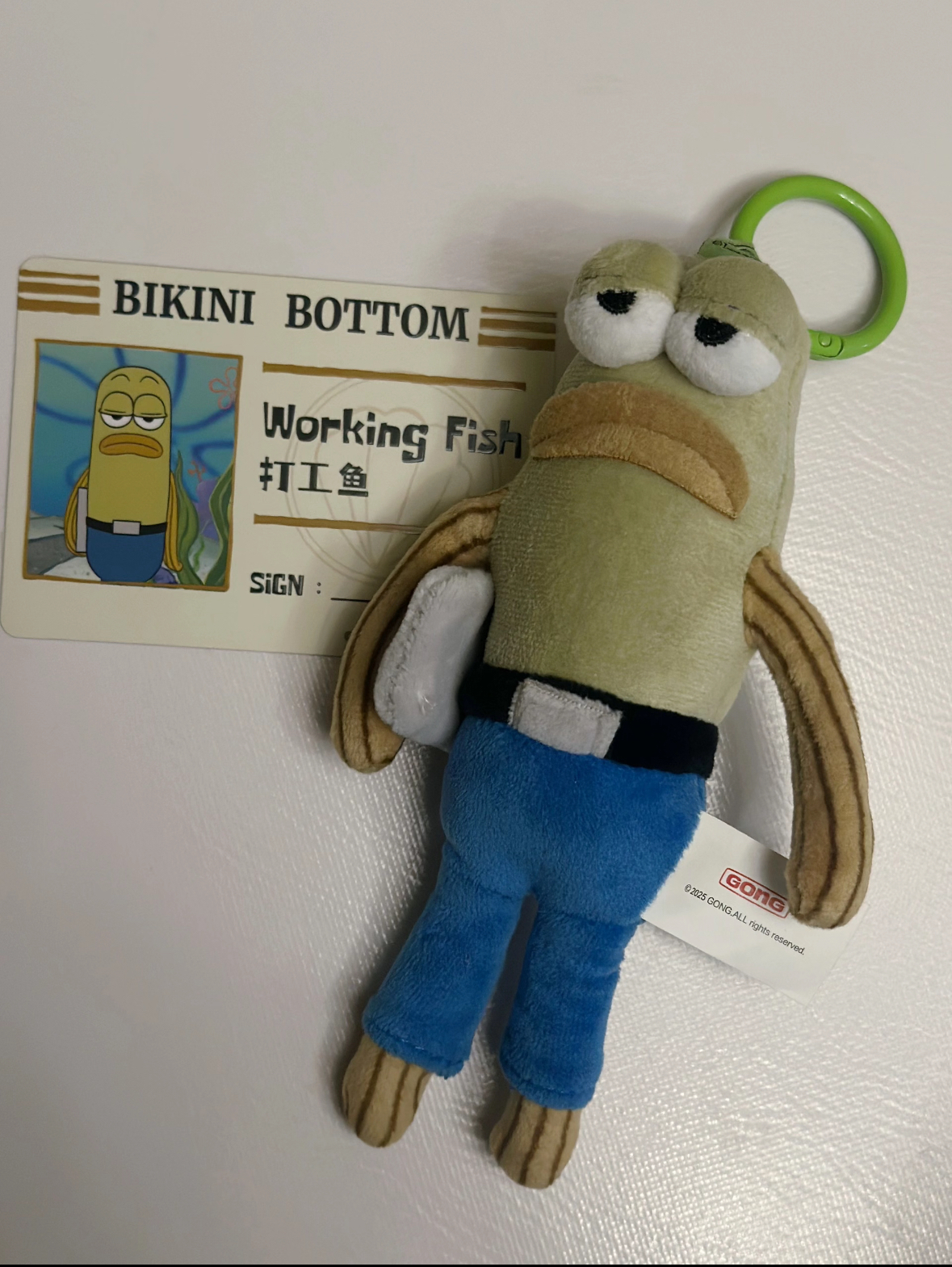 image_25DDA115-6984-49E8-AA99-71C5DD506C8D_1761581429