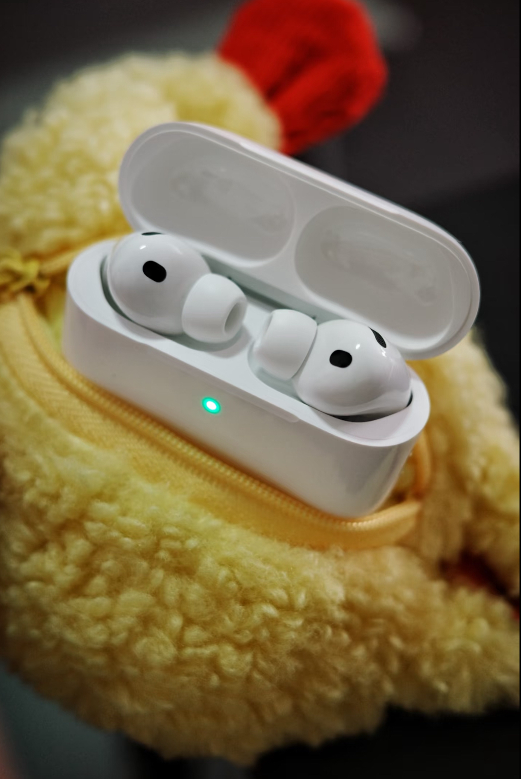 image_F9AD0A77-7FDB-45F7-A18A-933214AF687A_1761582387