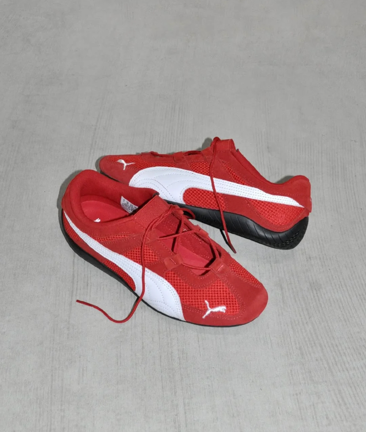 image_85E7A9DB-BD7B-4D14-8C09-59BC2508C267_1742309727