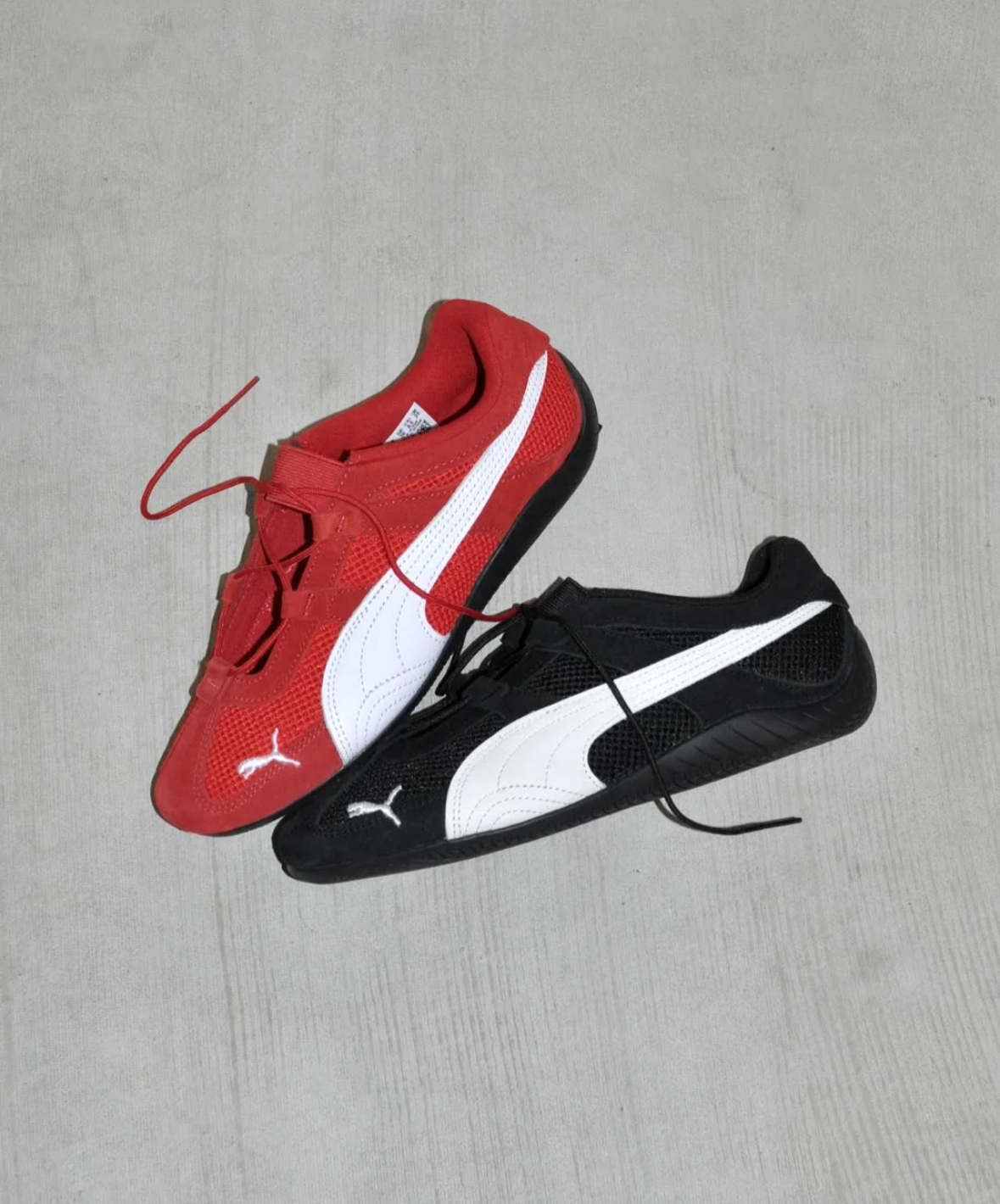 image_987CE300-D273-4ACE-8200-F53BA16FB283_1742309727