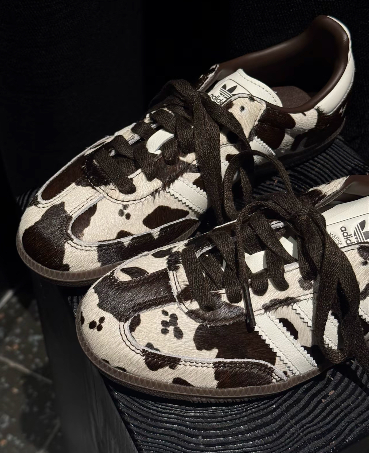 image_6210CAD3-F0E0-45B6-AD7C-4540E115728D_1762849233