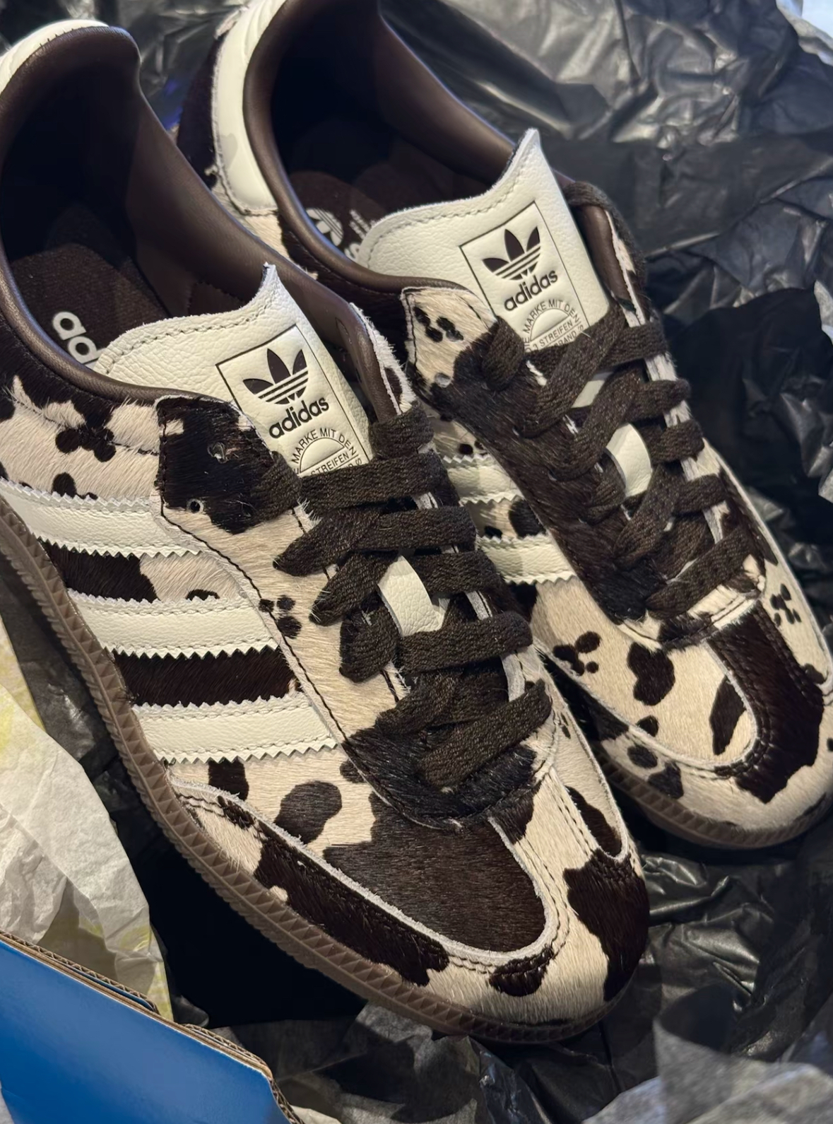 image_86BB2DA7-0905-4A8C-9401-C9E96A2AAEBB_1762849233