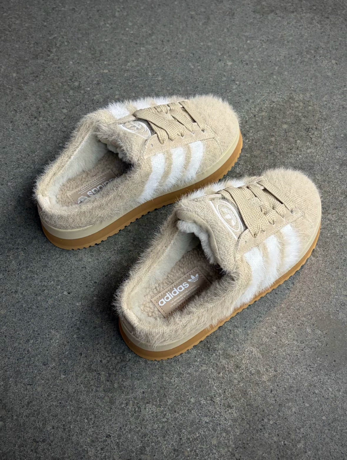 image_8381F93E-4BE7-46B1-B4F0-51CDC5A07ADC_1762934762