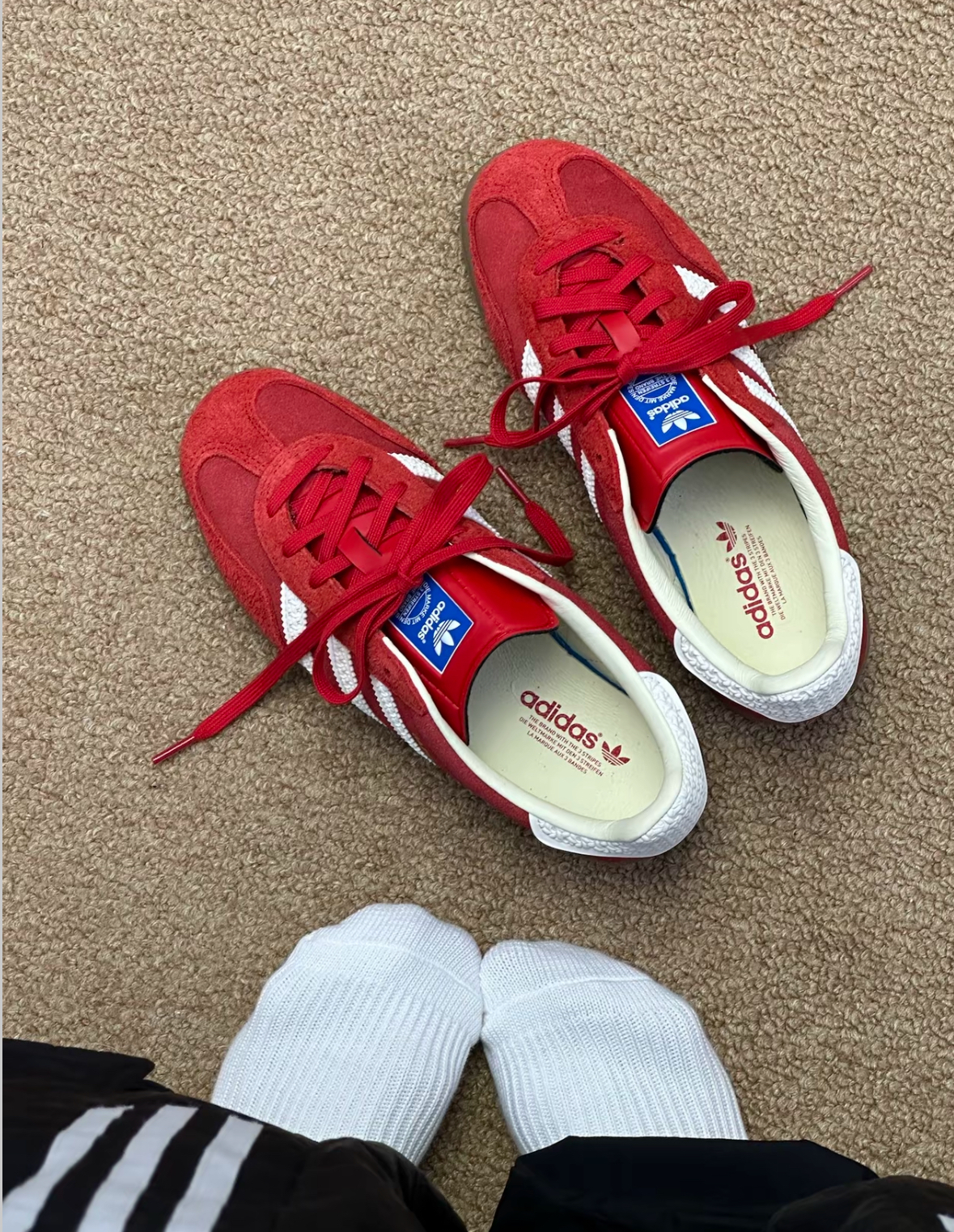 image_D77C8A6D-DDCC-436B-84B3-1454262B880B_1765033838