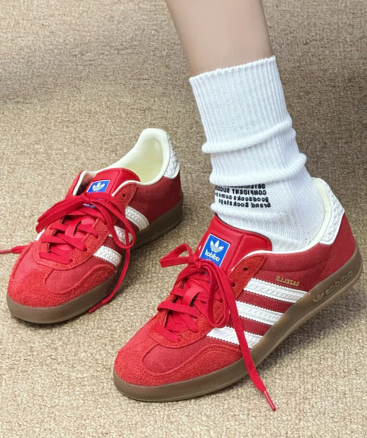 image_0B13505A-0F97-4D7D-98DC-D878238B6CB9_1765033838