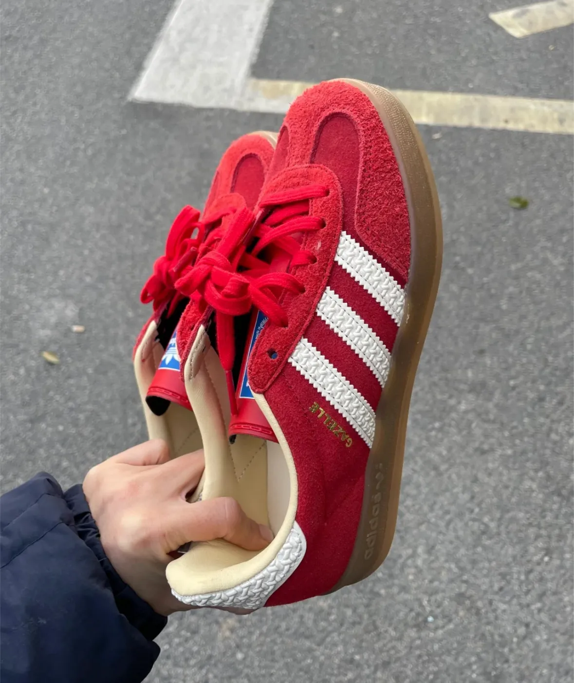 image_66105887-39B1-4557-AB2A-914DED9110C5_1765033838