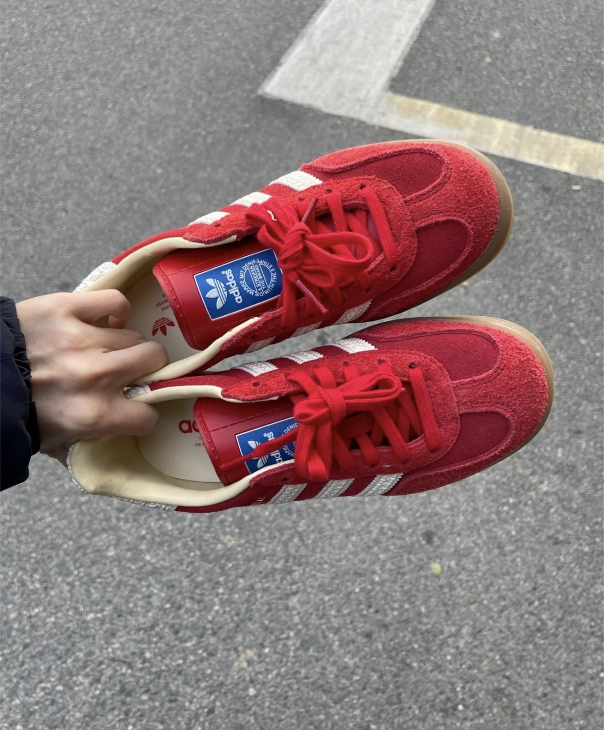 image_1609DCDD-3323-4391-950B-11B03B8954EE_1765033838