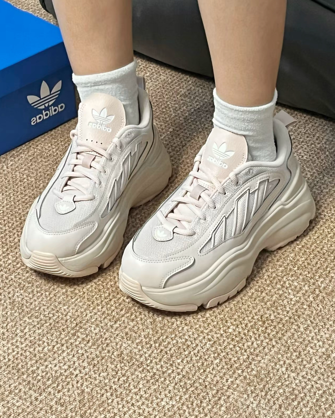 image_018ADED4-250A-423B-A1BD-36F72AE8EFF1_1765472195