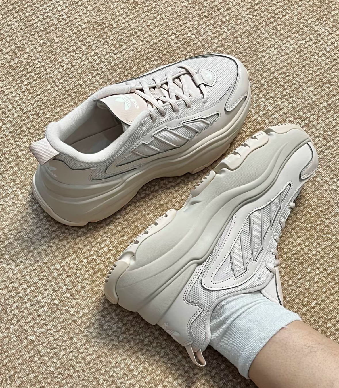 image_3A6CE90B-A5D9-4A45-B68B-158068C09E5A_1765472195