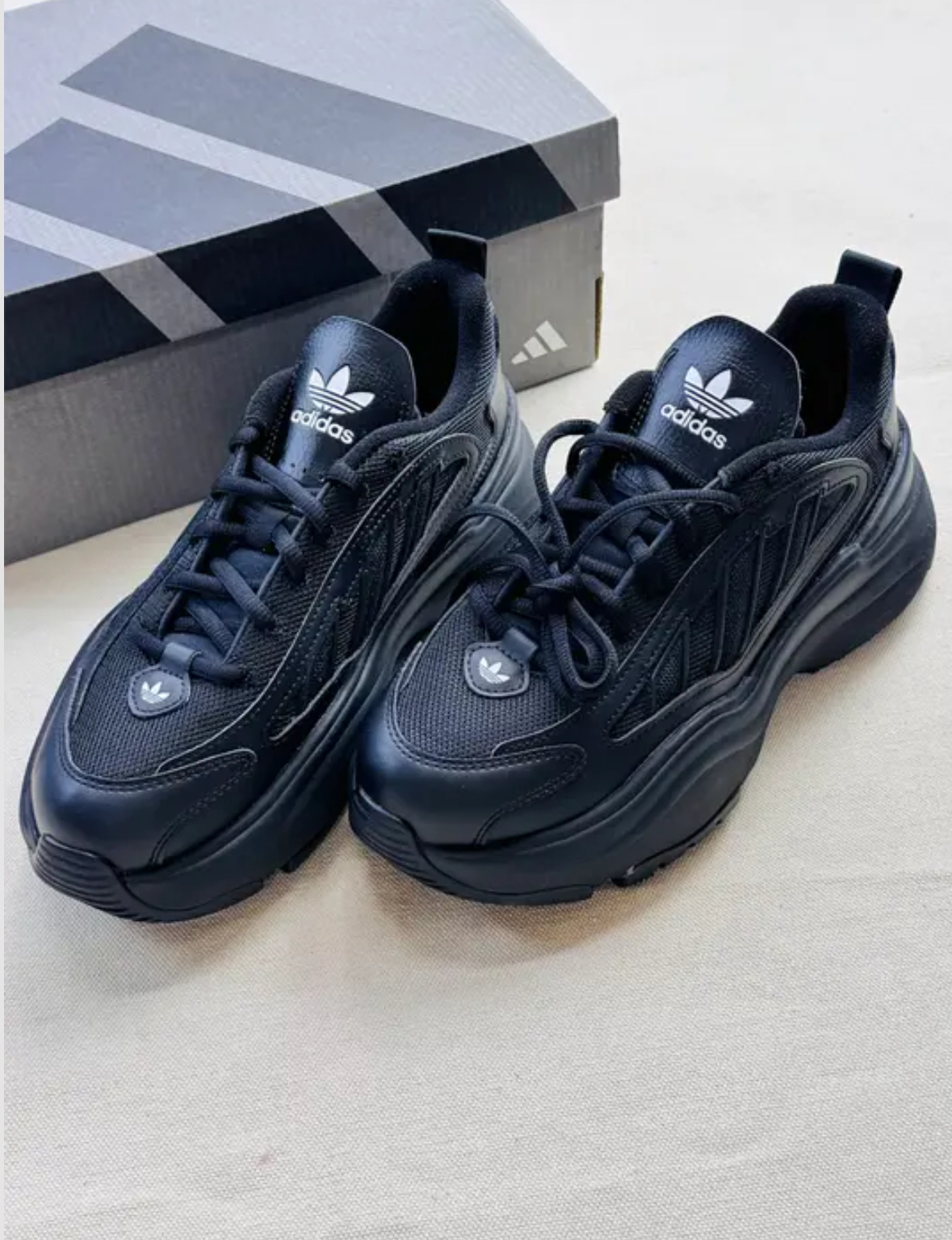 image_33B2F4F7-B48E-4B00-BBA6-B721BD825325_1765472195