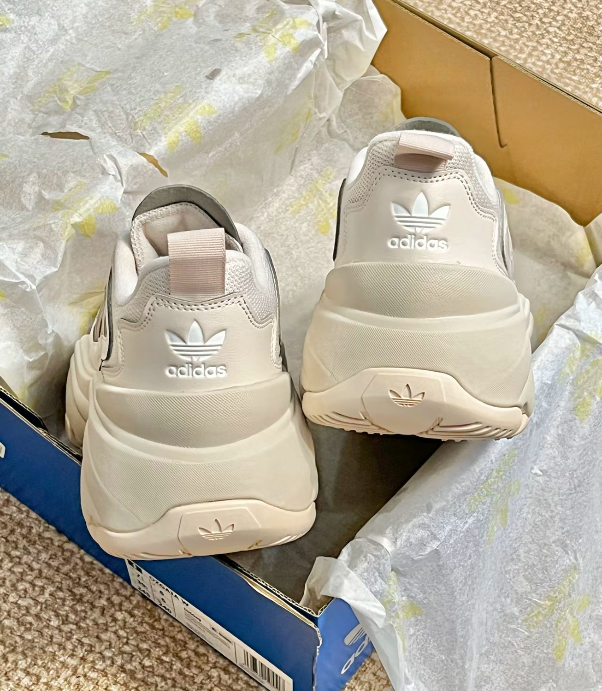 image_F64A639E-9369-4364-9C7E-14177B9A2CE0_1765472195