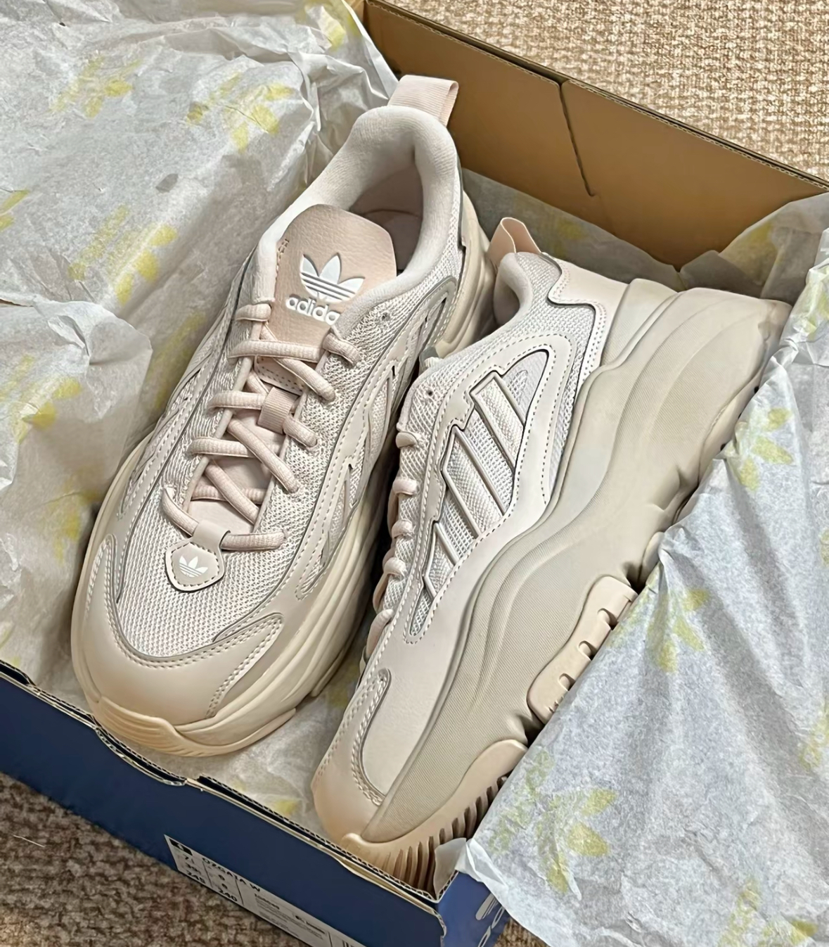 image_2BF0DDCB-3228-4CE3-B62F-E81BB624116C_1765472195