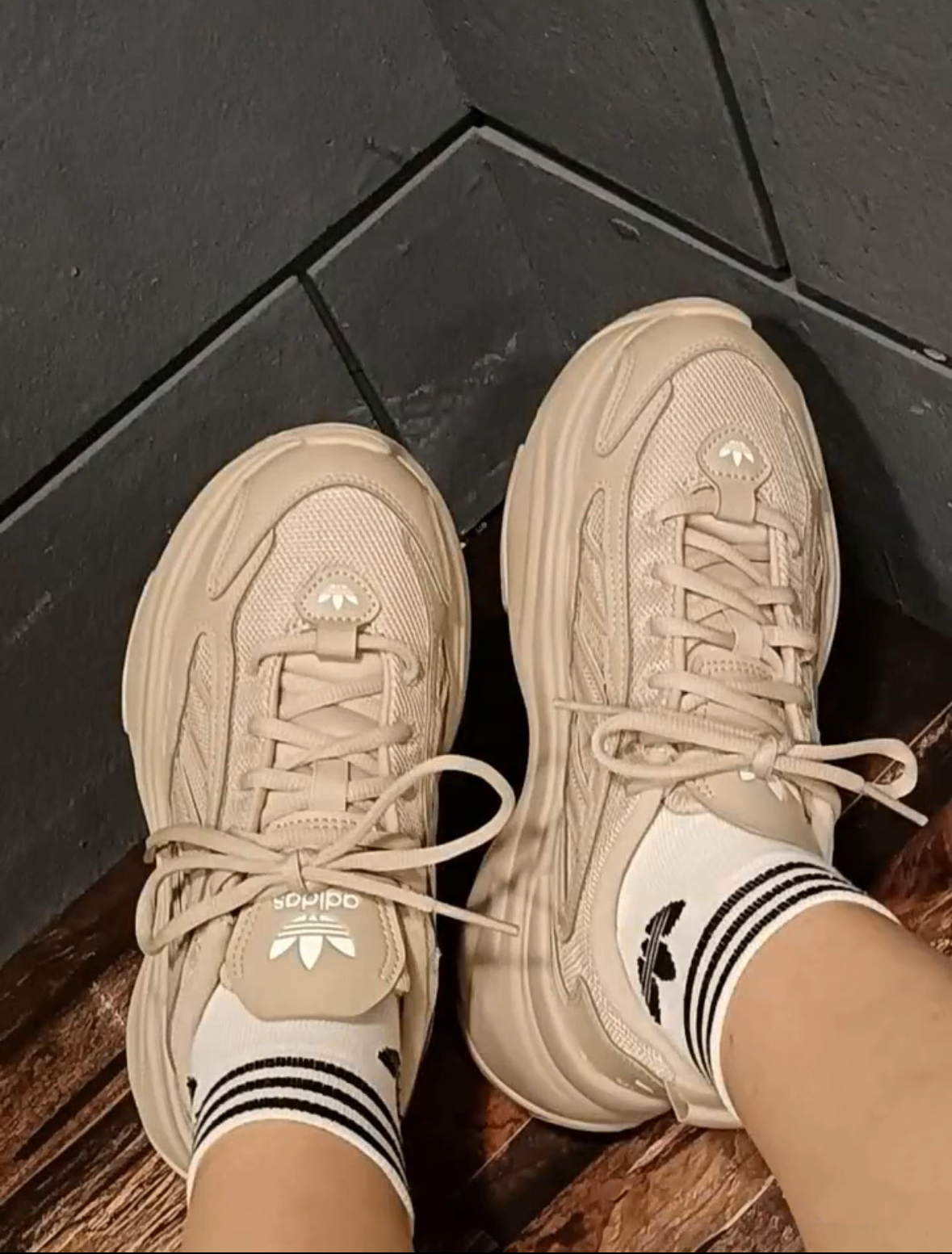 image_35F1FDB2-0A84-40A1-B162-1B9923A30550_1765472253