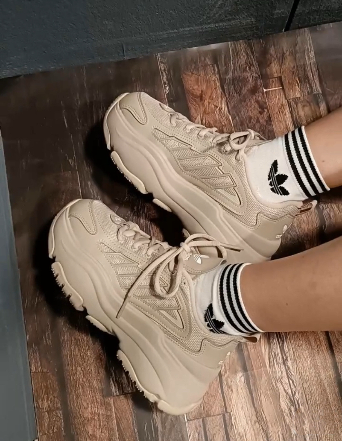 image_2377D364-635A-46F4-84B8-A2D15870F08C_1765472253