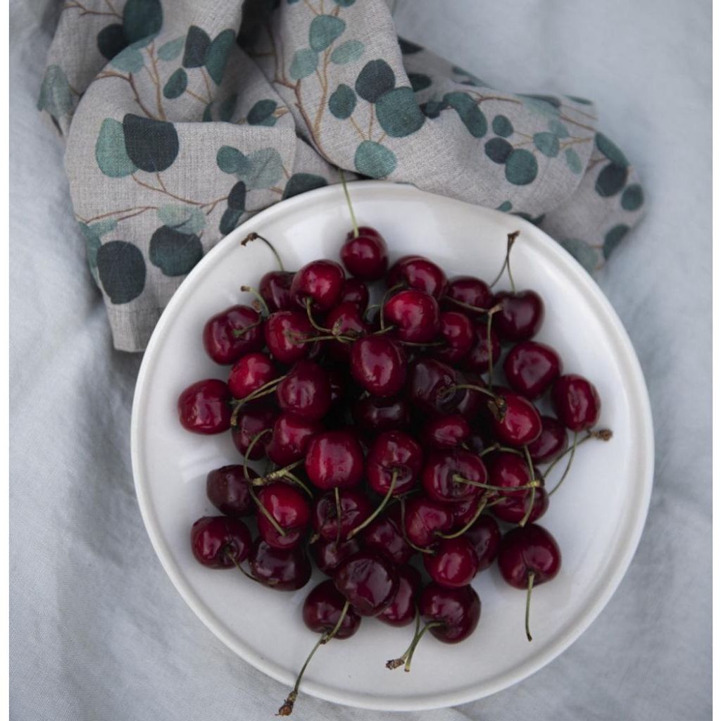 ce458270d9e124a78317ad7fc091d757