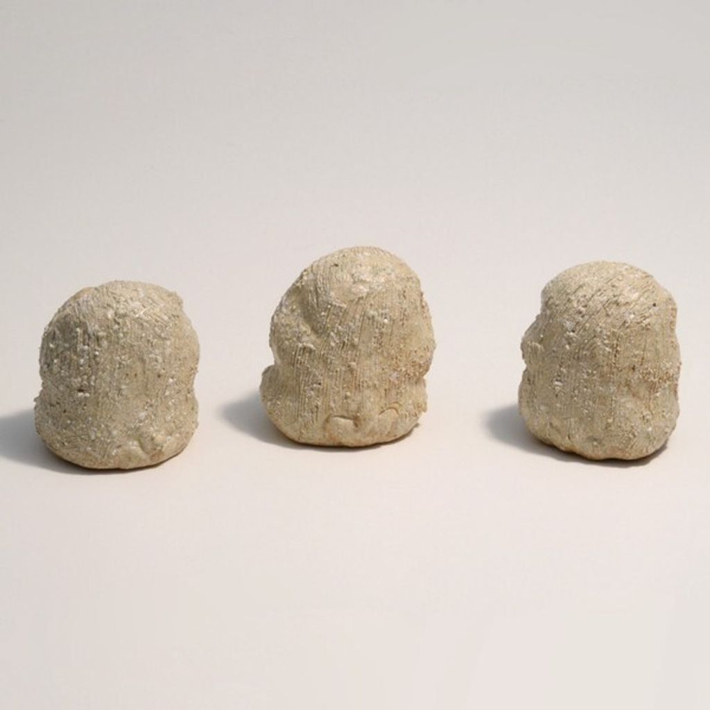 tw-11134207-7r98z-lo3hxwep8it5ed