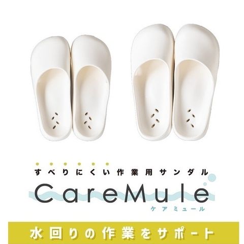 tw-11134207-7r98w-lxho3tlcrbcga8