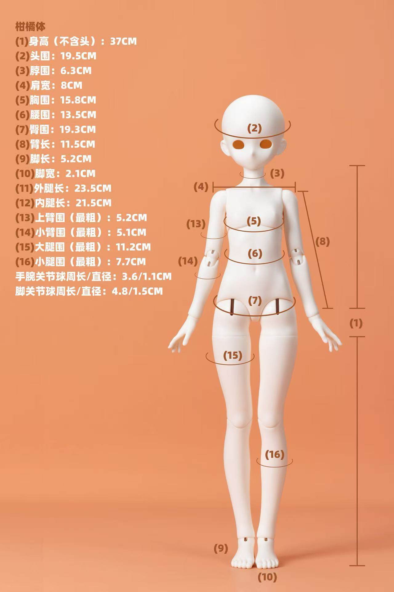 O1CN01jhebZu25NvYHx7RST_!!2212712737515